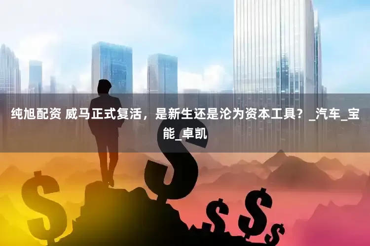 纯旭配资 威马正式复活，是新生还是沦为资本工具？_汽车_宝能_卓凯