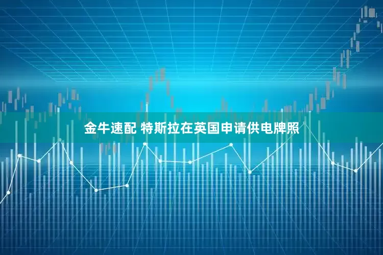 金牛速配 特斯拉在英国申请供电牌照