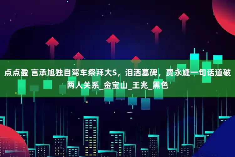 点点盈 言承旭独自驾车祭拜大S，泪洒墓碑，贾永婕一句话道破两人关系_金宝山_王兆_黑色