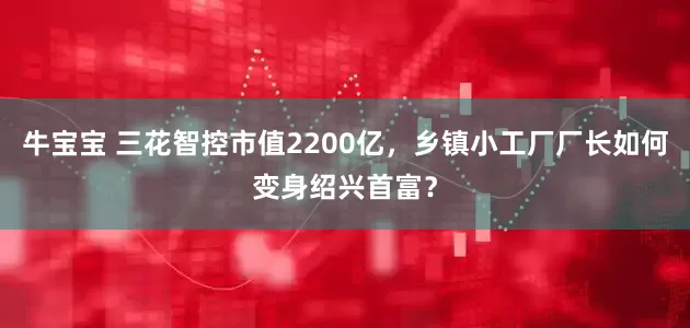 牛宝宝 三花智控市值2200亿，乡镇小工厂厂长如何变身绍兴首富？